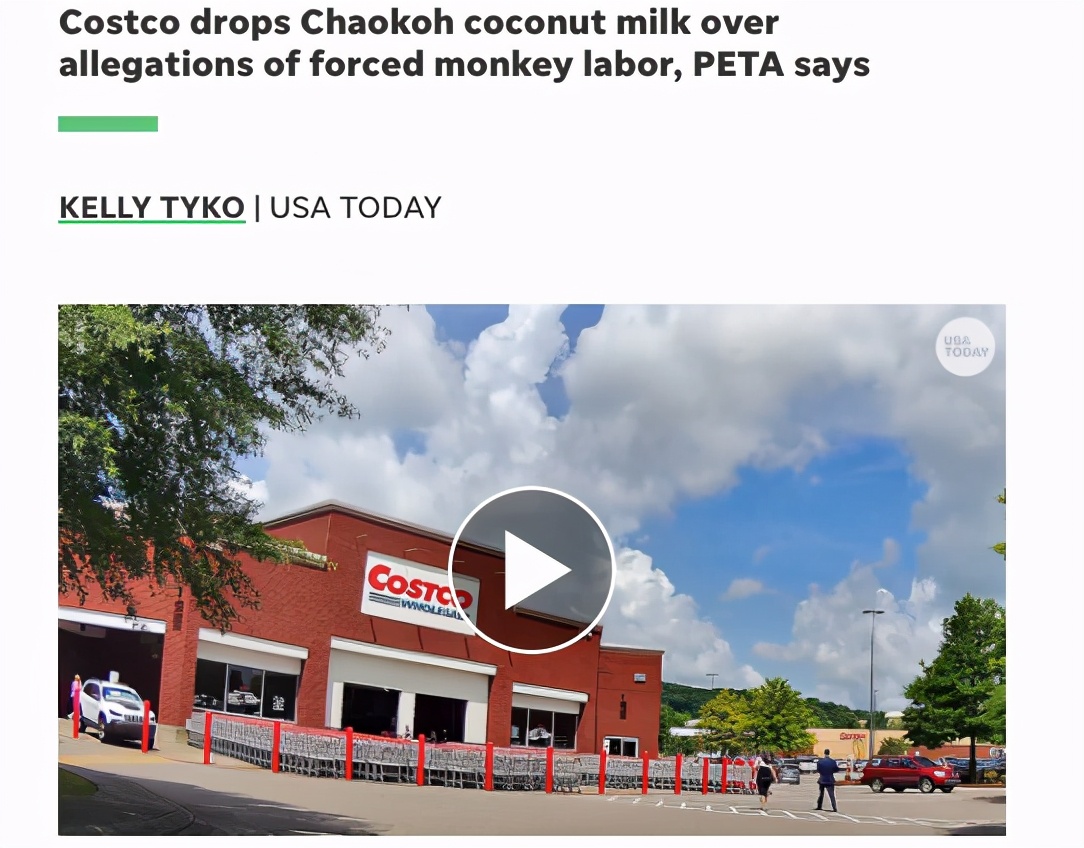 你爱吃的椰子,背后可能有一只泰国“打工猴”血汗故事