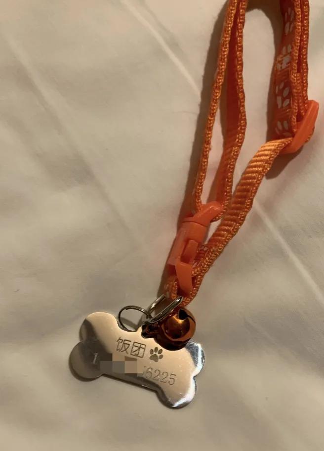 耐吉斯今年亚宠展上做了啥?挤都挤不进