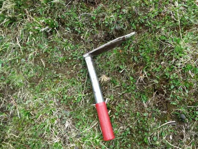 虫草的采挖时间是几个月,带你体验虫草采挖全过程