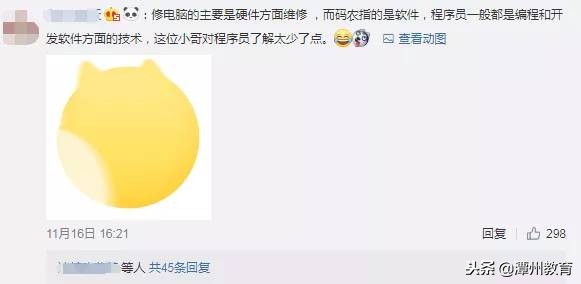 程序员是修电脑的吗,程序员不是修电脑的