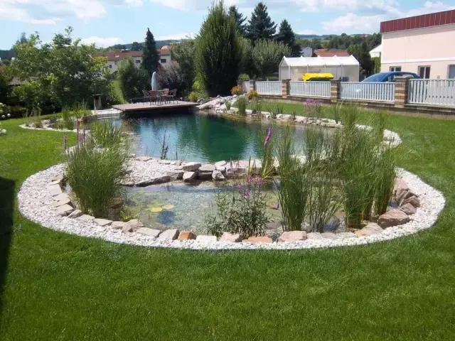 养鱼池净化水质的设备详细过程,养鱼池水质净化设备