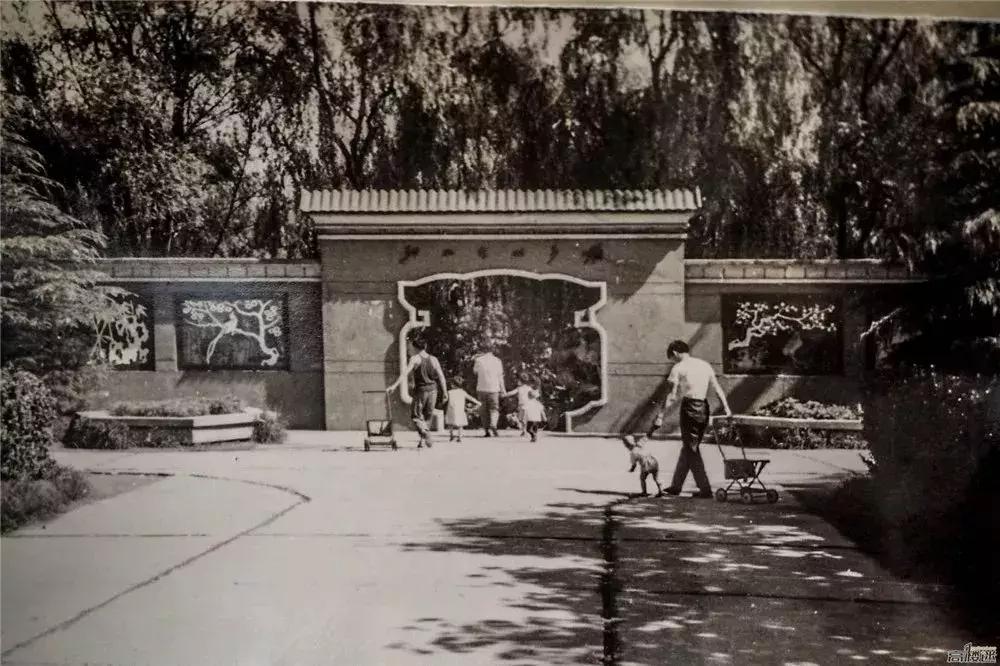 四十年前石家庄街景视频,石家庄40年