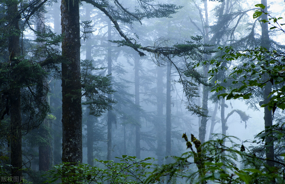 散文农耕文化,散文乌蒙山水