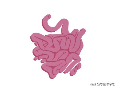 食物变成便便的过程是什么过程,食物变成大便的全过程