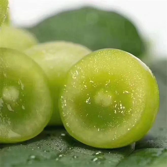 鍗佸牥瓒呭叏钄彍姘存灉,鍗佸牥鏂伴矞姘存灉