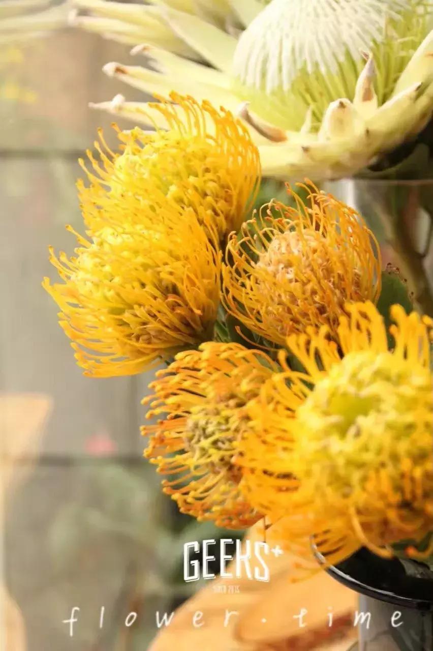 免费送tf口红,tf口红免费送