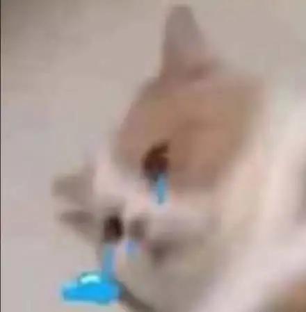 现在的qq现状,qq倒闭了