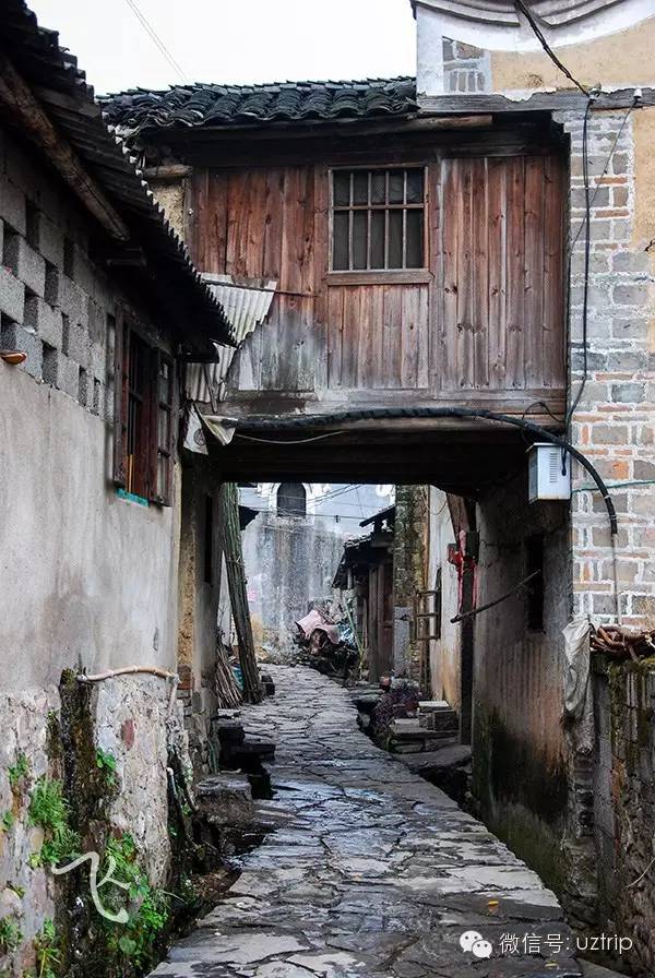 桂林兴安漠川银杏最佳观赏时间,桂林兴安漠川银杏网红打卡地