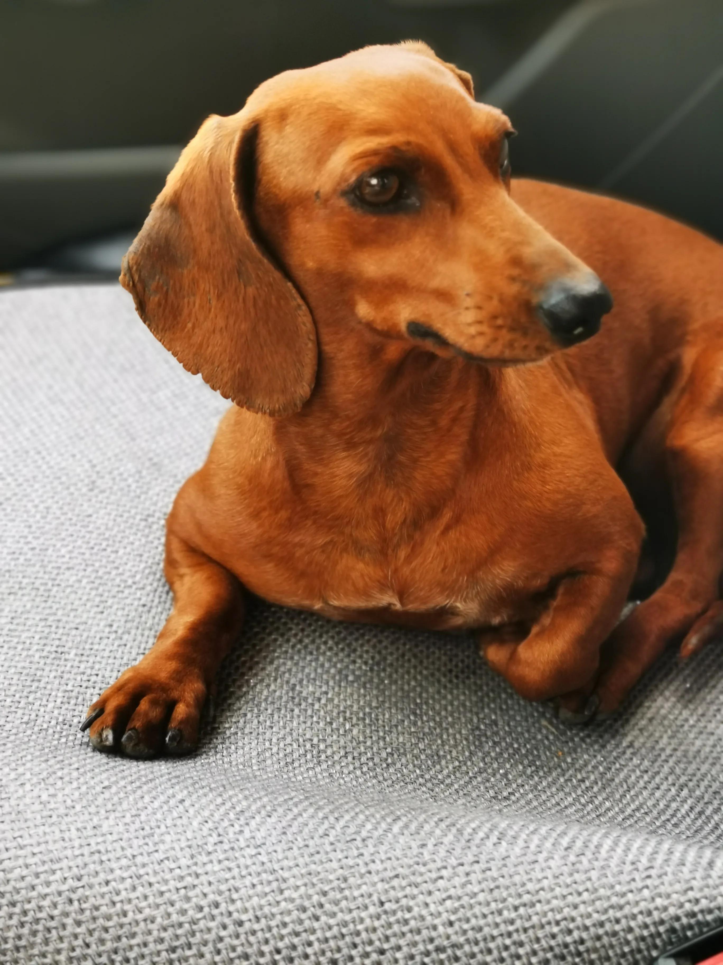 没经验能当检验员吗,当班长好还是当验收员好