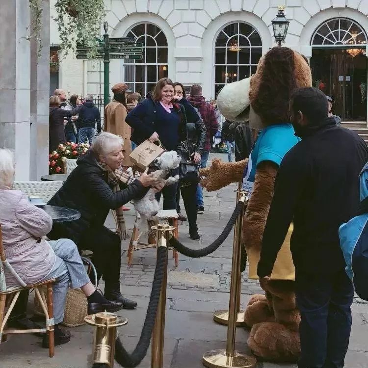 “25岁，第一场艳遇后，上瘾了”