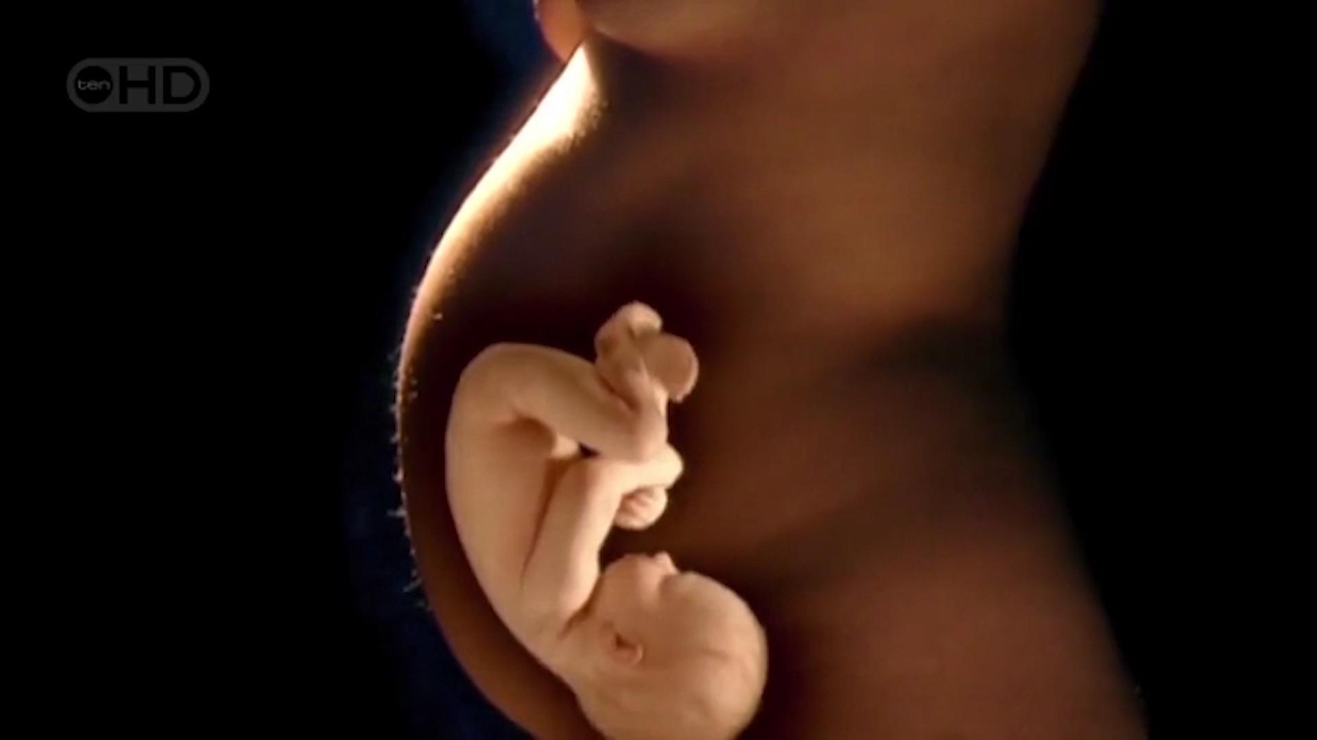 神奇的生命孕育,神奇的孕育方式