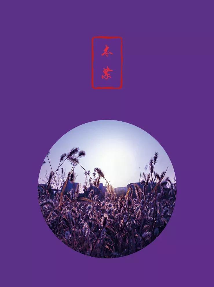 营口理工学院咋样,辽宁省公办高校营口理工学院