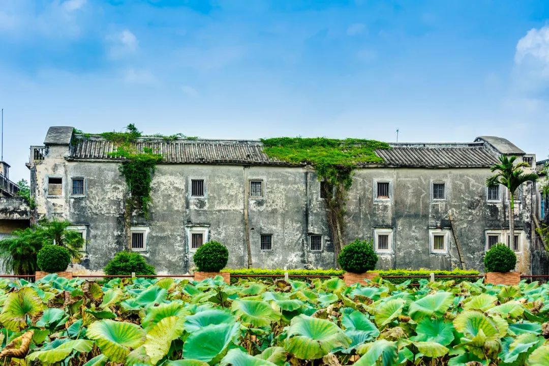 一日游重庆火锅去哪吃,旅行火锅吃法大全