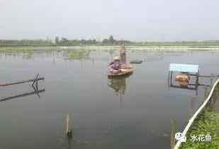 水产养殖水质评价标准,水产养殖水质怎么查看的