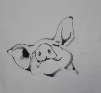 猪年国画：猪的绘画步骤