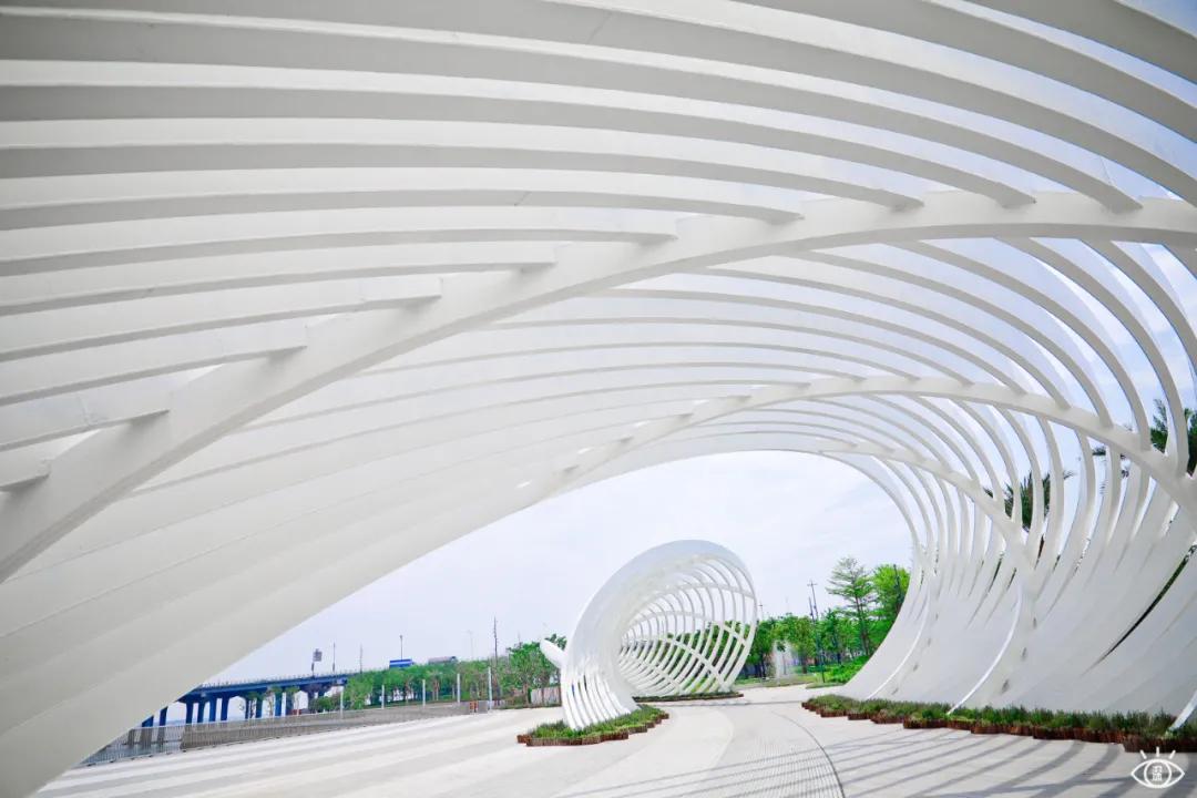 深圳免费景点好玩排名,深圳这些新公园免费玩