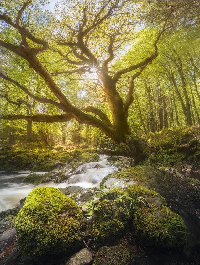 广角为什么画质那么差,广角太卡怎么办