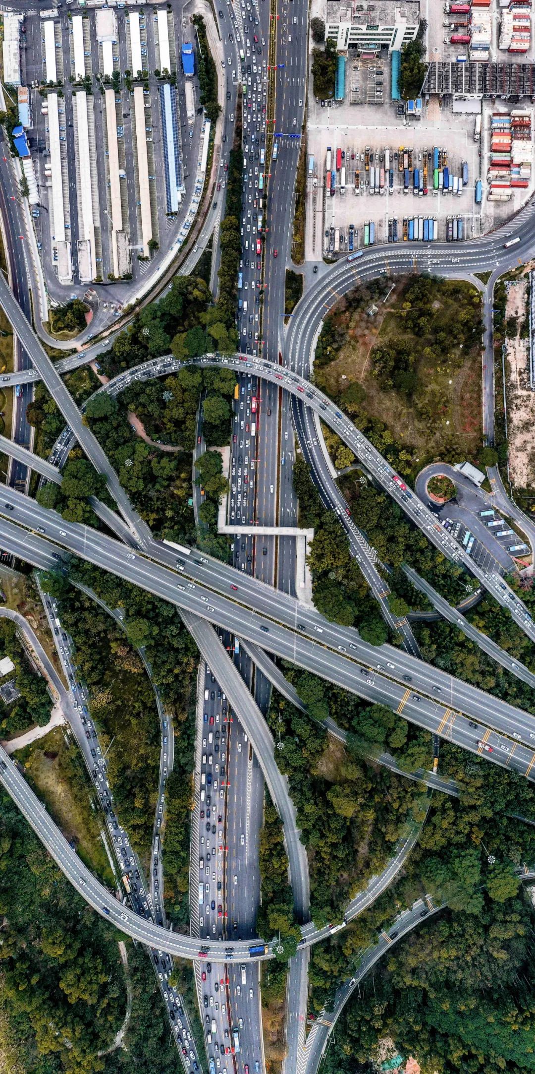 什么是深圳特产,什么是深圳银行