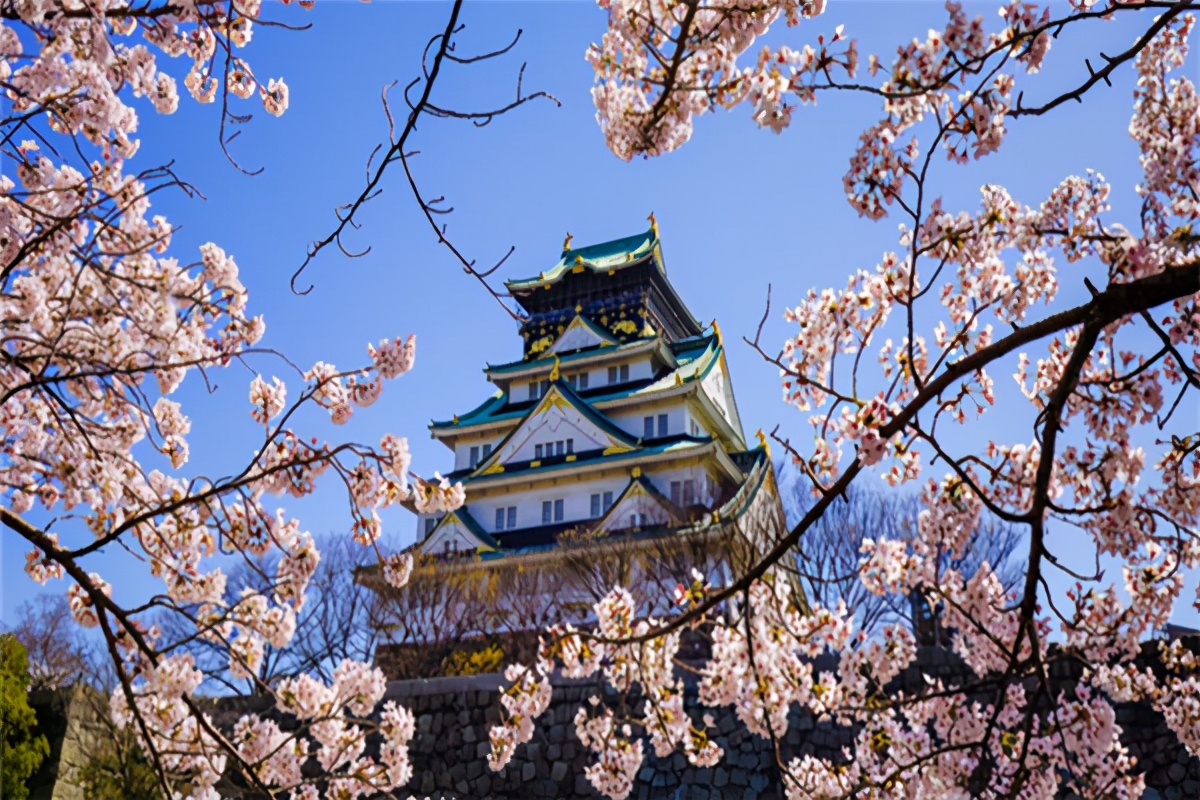 亚马逊各大站点分析对比,2023年亚马逊运营知识