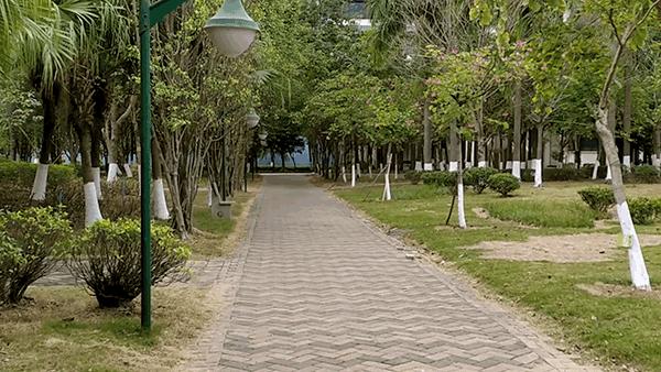 红米note7拍照评测,红米note7拍照对比红米note7pro