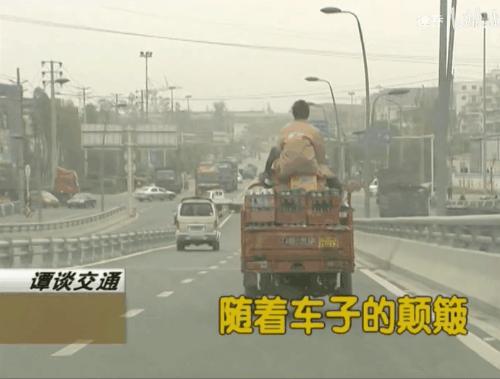 9.5分看完爆哭,10部笑到崩溃的动画电影