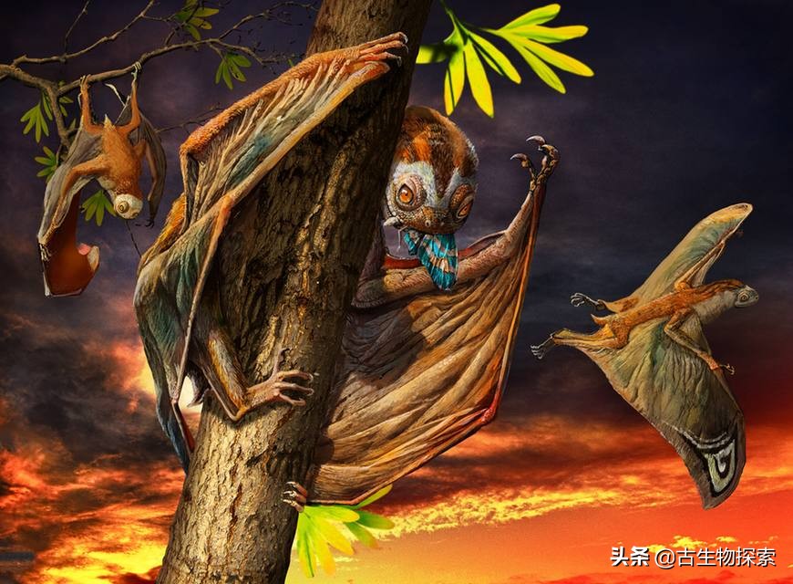 缈奸緳鍊掓寕,缈奸緳鍊掓寕鍗婄┖