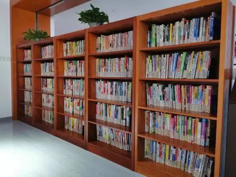 免费下载健康养生知识,免费的养生食谱软件