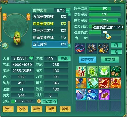 神武3电脑版教程,神武3血耐宠加点