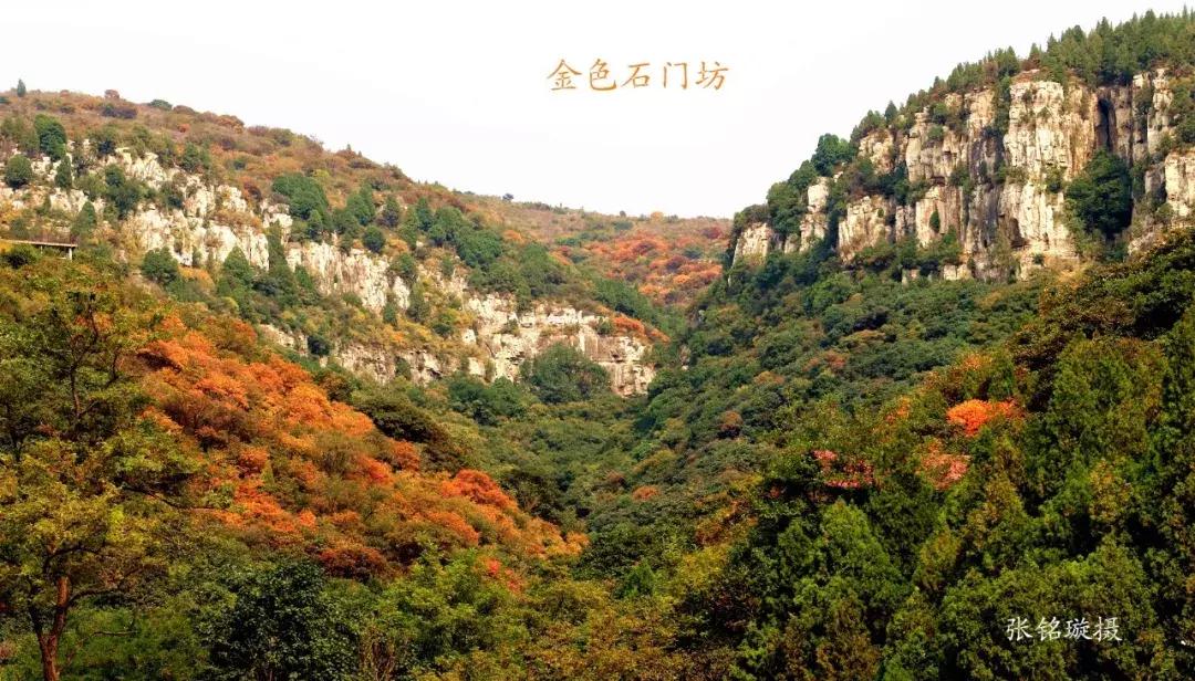 临朐石门坊风景区介绍视频,临朐石门坊风景区海拔