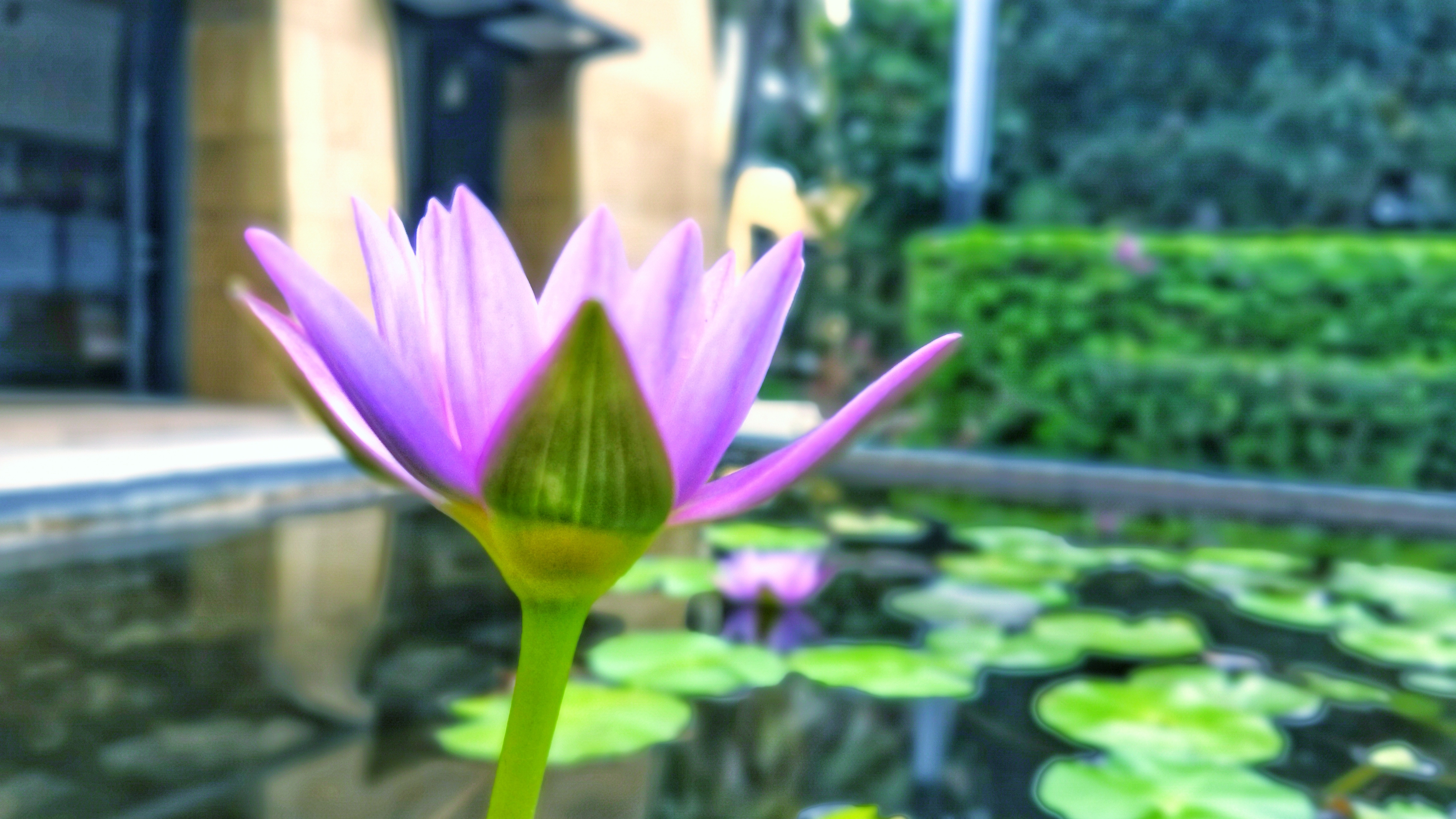 都是网红惹的祸,都是网红惹的祸完整版