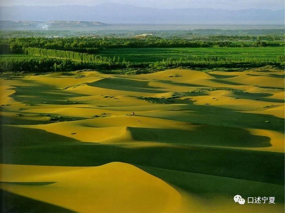 揭秘沙漠地图背后的故事,造成宁夏沙漠化的原因是什么