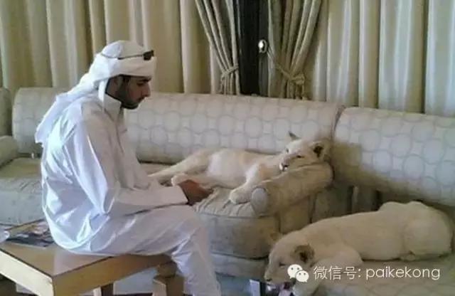 从迪拜塔往下看震撼人心,从迪拜回来的照片