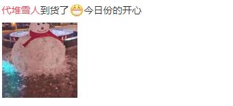 公园回应大妈路边卖雪,大妈卖雪5元一盆