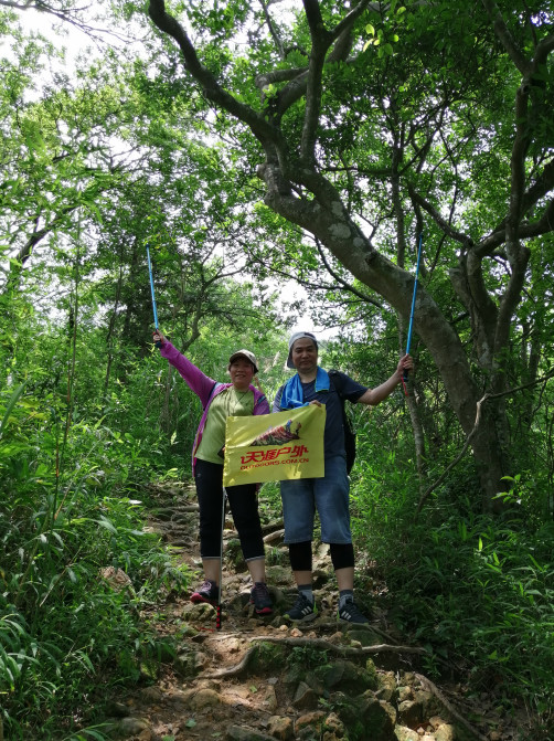 实干是什么意思,实干才是真谛