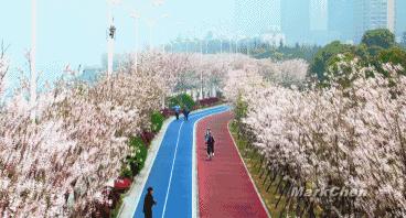 世界上最危险的跑道,世界上最舒服的跑道