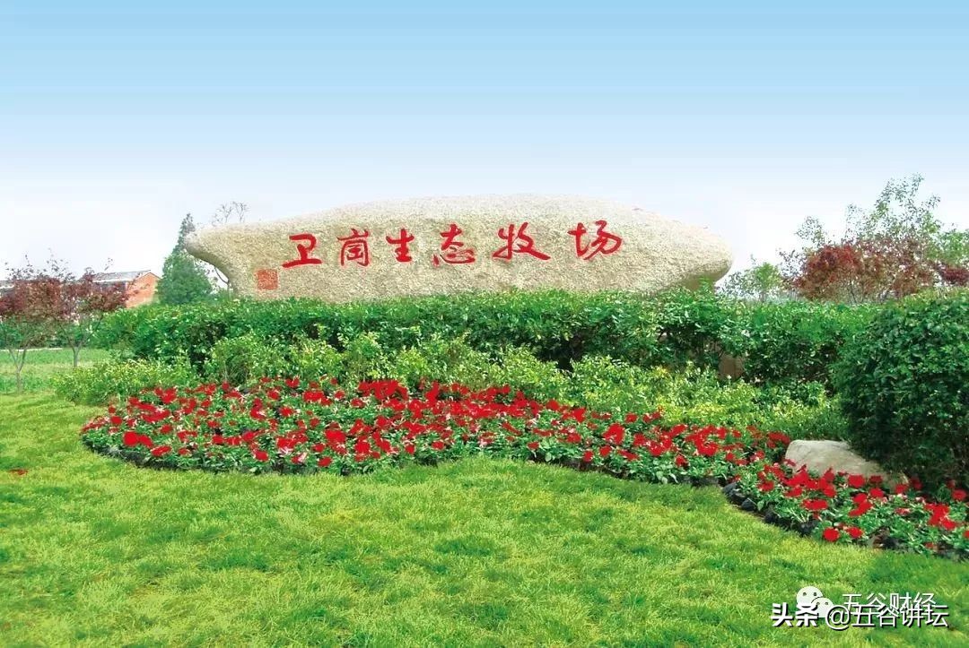 卫岗乳业奶牛场,卫岗鲜奶全国奶源