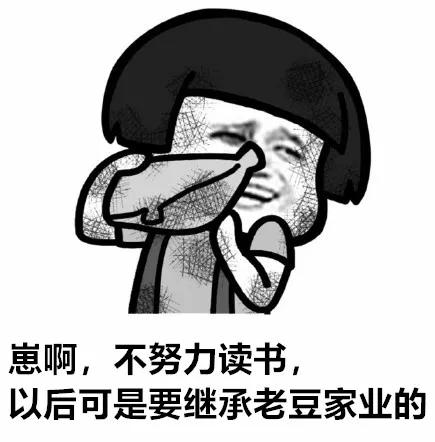 数学史上最传奇人物,数学史上伟大的传奇人物