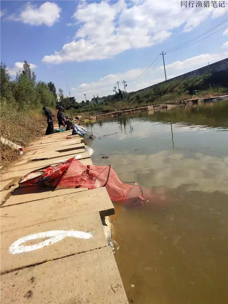 钓鱼笔记30个视频,钓鱼笔记最新视频
