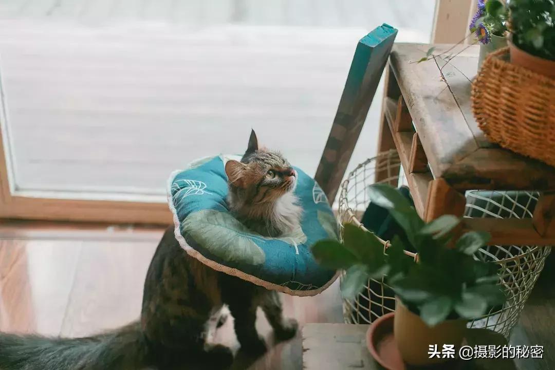 拍照时很僵硬不会摆动作,拍照太僵硬不会摆动作