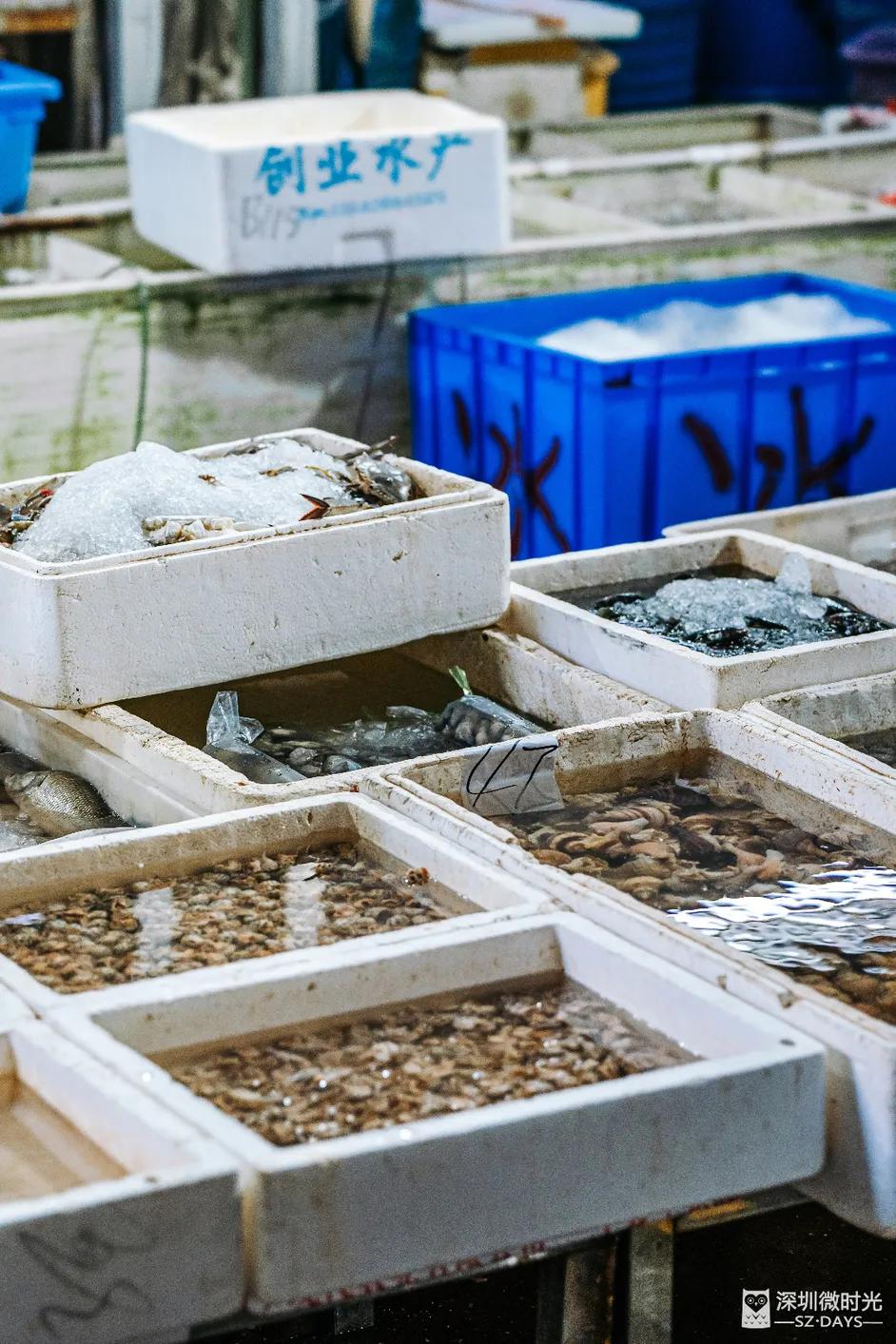 100元左右的海鲜,100元买的海鲜