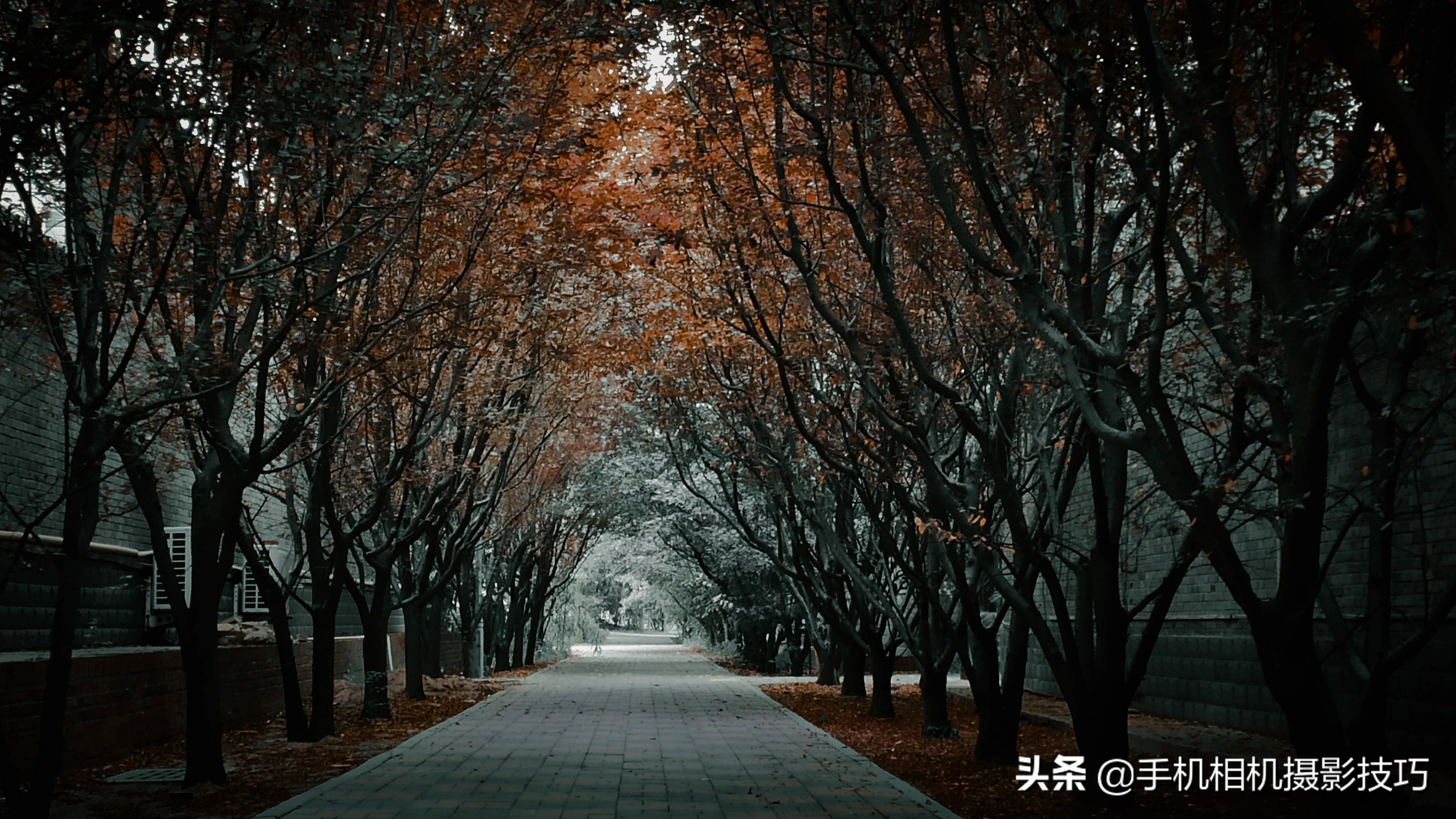 15张普通人拍的照片,15张个人自拍照片