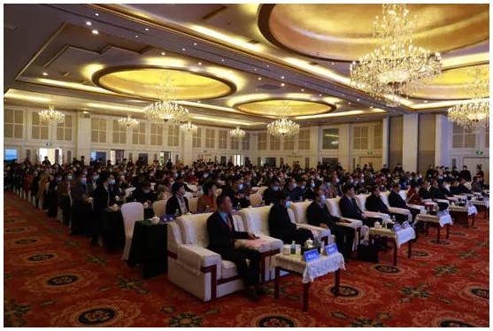 第四届中医药博士生创新发展论坛,第四届全国中医药传承发展大会