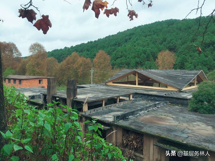 云南澄江兵工厂,云南兵工厂旧址