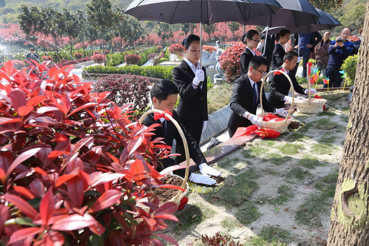 李宁背后的故事,李宁的伯乐是谁