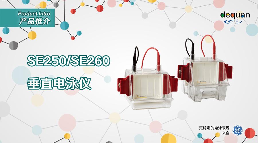 sebia鐢垫吵浠櫒,se250