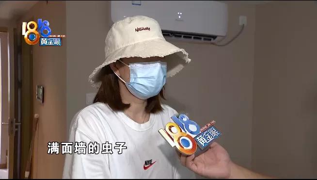 墙体发霉是房东的问题吗,墙体发霉有虫子发潮该怎么处理