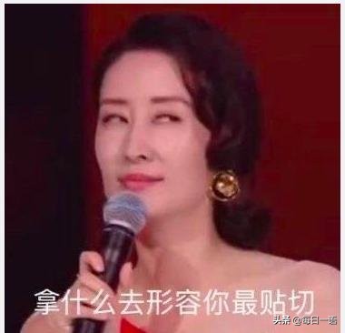 女明星评价刘敏涛,摩羯座女星刘敏涛