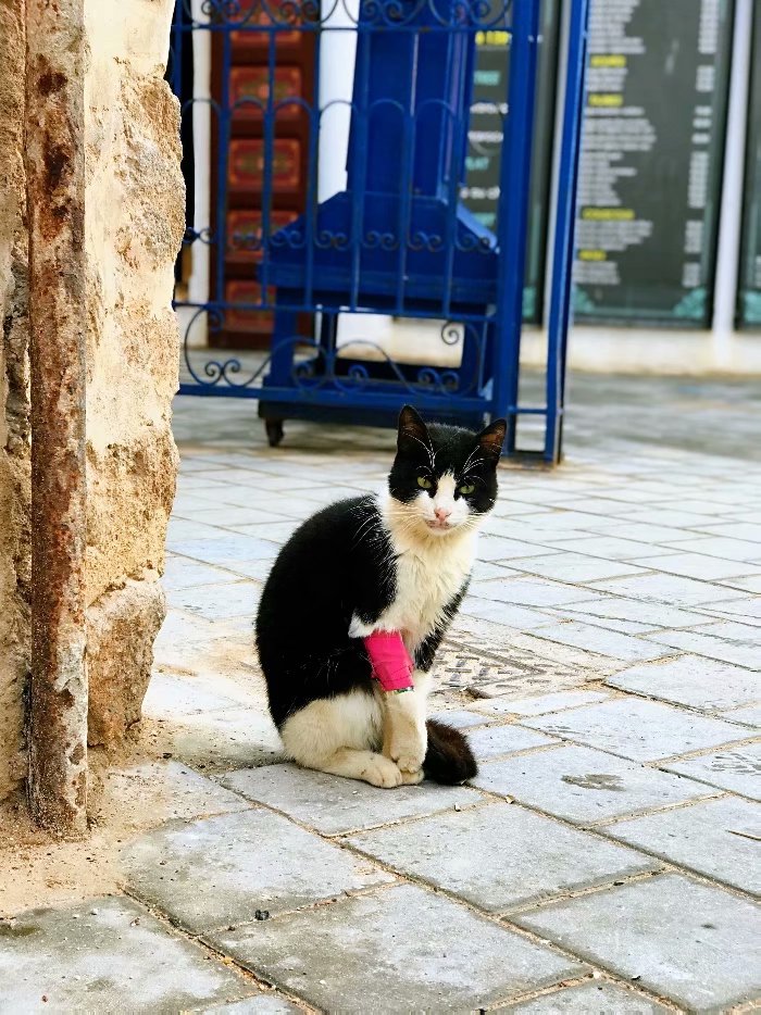 去摩洛哥自由行攻略,摩洛哥游玩自由行攻略