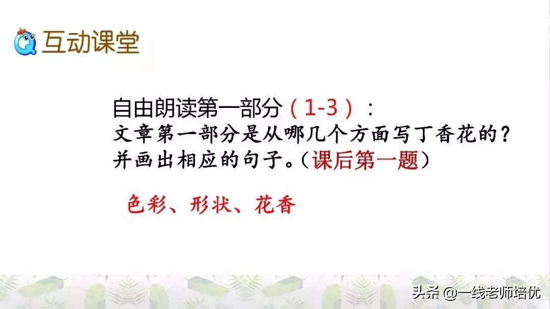 六年级上册第二课丁香结知识点,部编版六年级上册语文丁香结预习