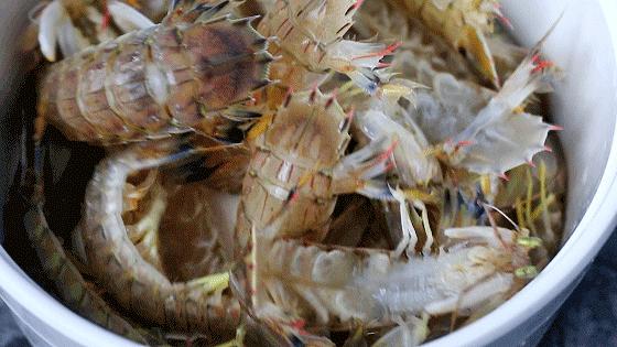 厦门90海里蒸汽海鲜自助,厦门岛内蒸汽海鲜自助